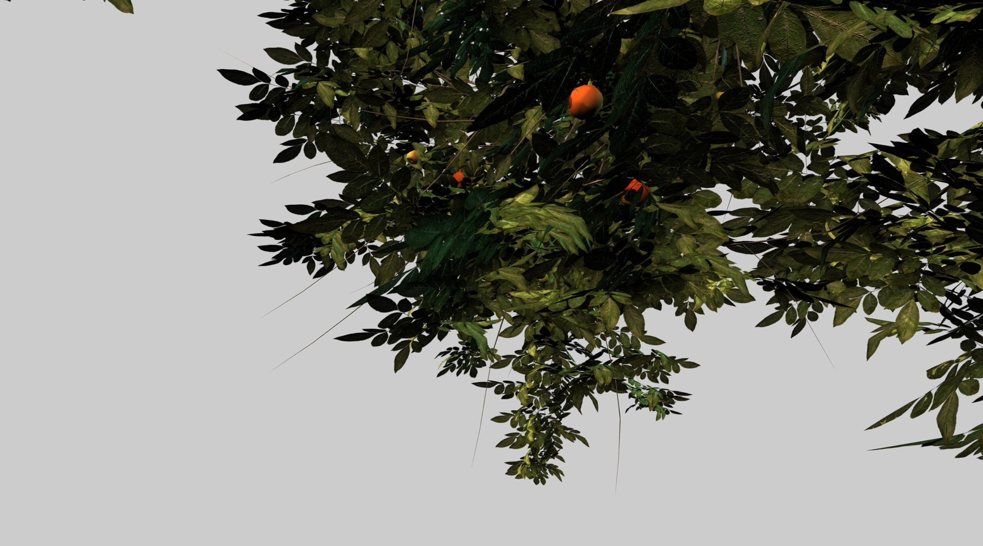 3d model apple tree https://p.turbosquid.com/ts-thumb/l2/x6iUta/0jmFeBQx/10_0000/jpg/1424612896/1920x1080/fit_q87/fe0ab3b24672125e8e8d17ca37003d253816972d/10_0000.jpg