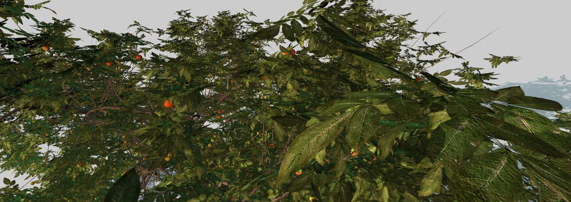 3d model apple tree https://p.turbosquid.com/ts-thumb/l2/x6iUta/1xIPLOPw/12/jpg/1424612896/1920x1080/fit_q87/f9311b8f33efab4cb6ad72085d5d651fdbcfe3be/12.jpg