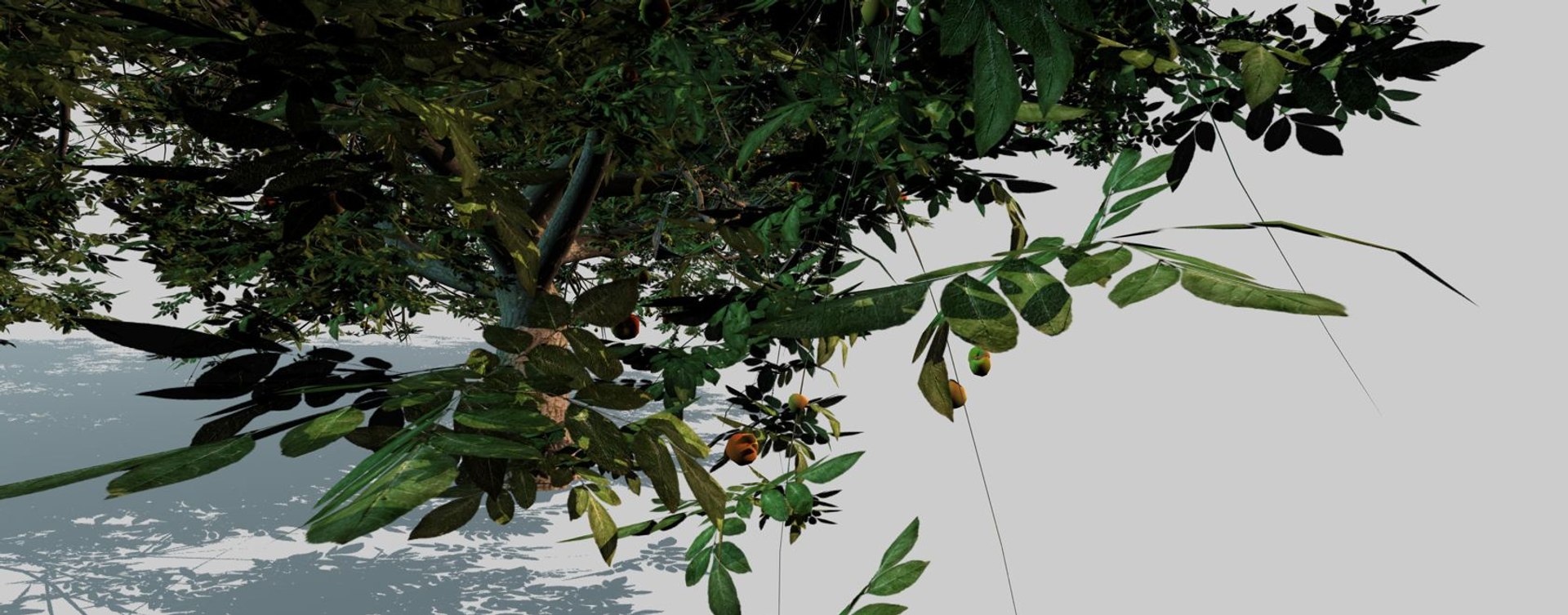 3d model apple tree https://p.turbosquid.com/ts-thumb/l2/x6iUta/5Xm3SqjJ/10/jpg/1424612896/1920x1080/fit_q87/6543bc55b05c81e73e9c7f1294e291ce0b24a6e8/10.jpg