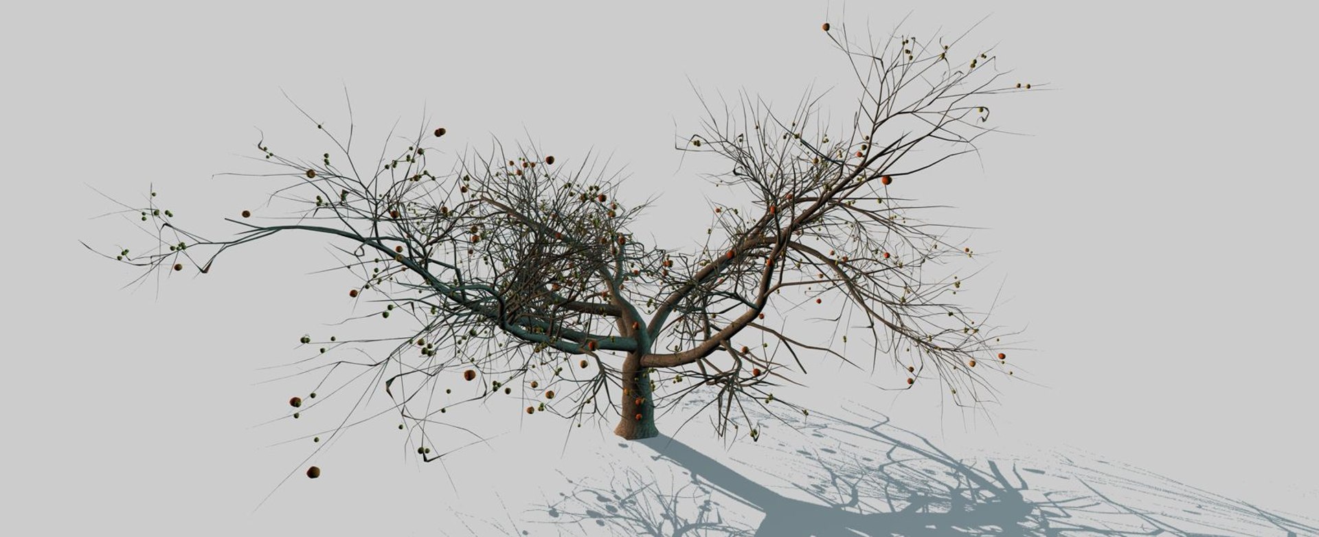 3d model apple tree https://p.turbosquid.com/ts-thumb/l2/x6iUta/D9zAge39/6/jpg/1424612764/1920x1080/fit_q87/a2a446b3f1b73cb93934bd95416fb9781cdea0ce/6.jpg
