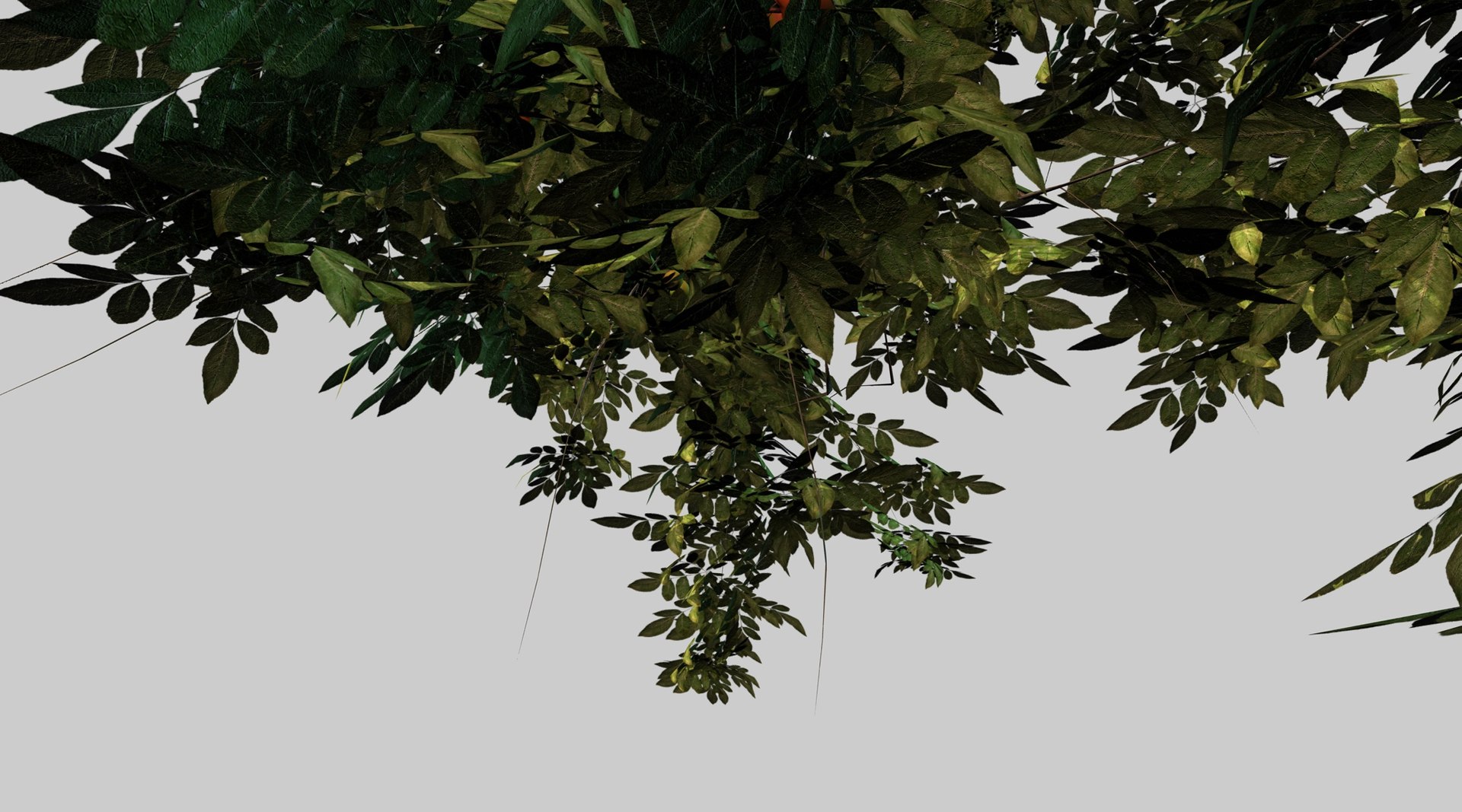 3d model apple tree https://p.turbosquid.com/ts-thumb/l2/x6iUta/M4oIkrWA/9_0000/jpg/1424612764/1920x1080/fit_q87/25451ba103a116adf7af5e0b69f0e631a2117e50/9_0000.jpg