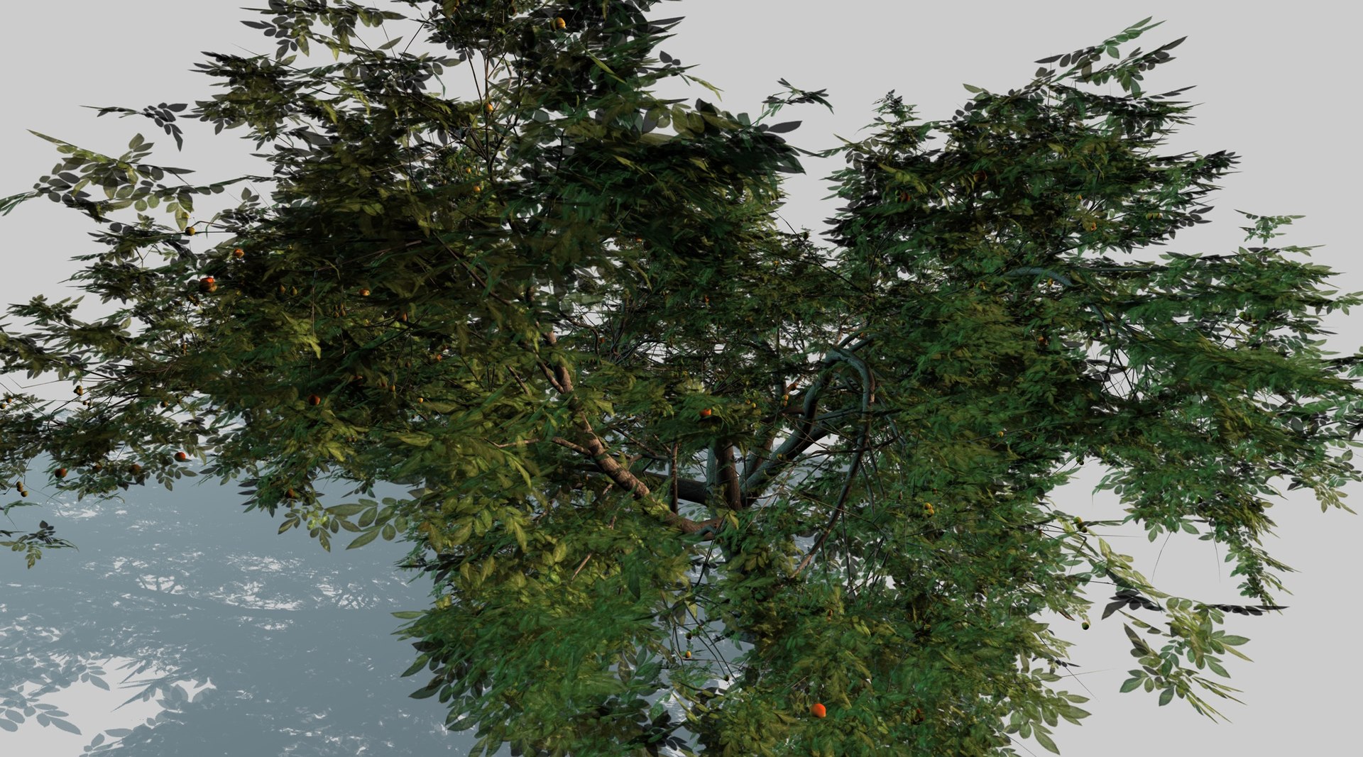 3d model apple tree https://p.turbosquid.com/ts-thumb/l2/x6iUta/N6h1jZ4Q/6_0000/jpg/1424612896/1920x1080/fit_q87/caa82ec19b30be2b868f71dd1bb7ec4c15eb704e/6_0000.jpg
