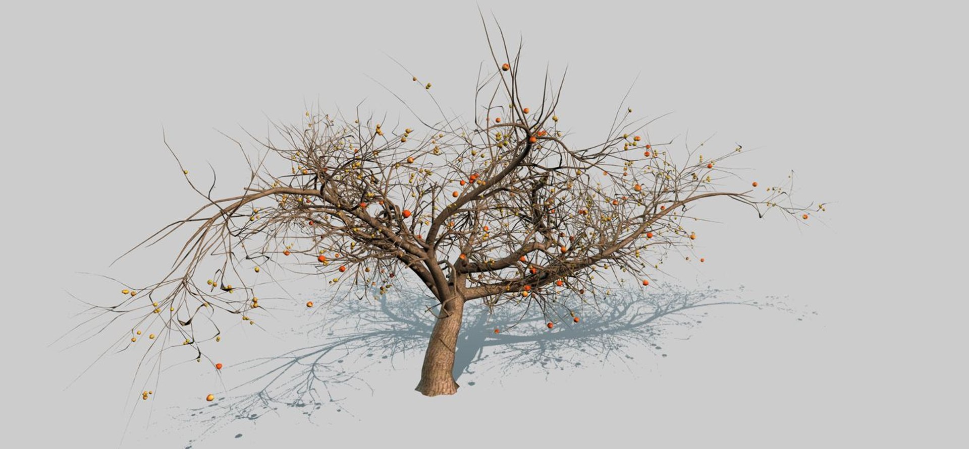 3d model apple tree https://p.turbosquid.com/ts-thumb/l2/x6iUta/NyZDOpbx/8/jpg/1424612764/1920x1080/fit_q87/9be8fff000d0af07f591a9efc4c8b9438c00effa/8.jpg