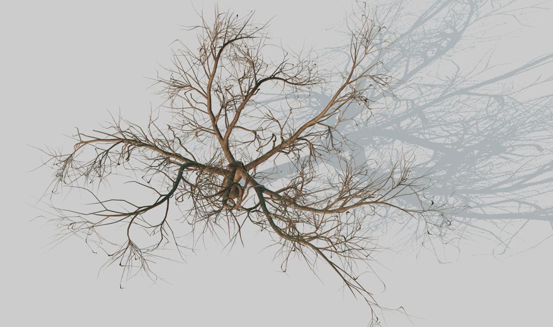 3d model apple tree https://p.turbosquid.com/ts-thumb/l2/x6iUta/Y848aBS4/5/jpg/1424612764/1920x1080/fit_q87/f091cfa47c4e030e71d143c0bc50df604c88d6a6/5.jpg