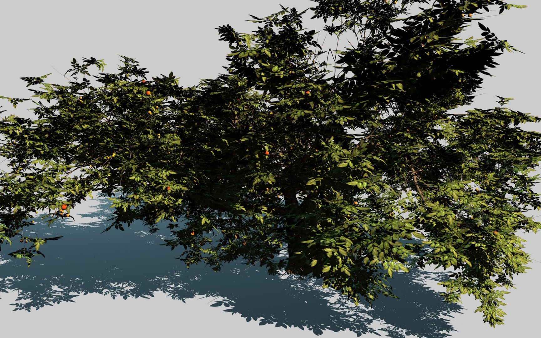 3d model apple tree https://p.turbosquid.com/ts-thumb/l2/x6iUta/xZvyDVac/4_0000/jpg/1424612764/1920x1080/fit_q87/49d81930c23dd1dbed8f4736b10ead8cab928401/4_0000.jpg