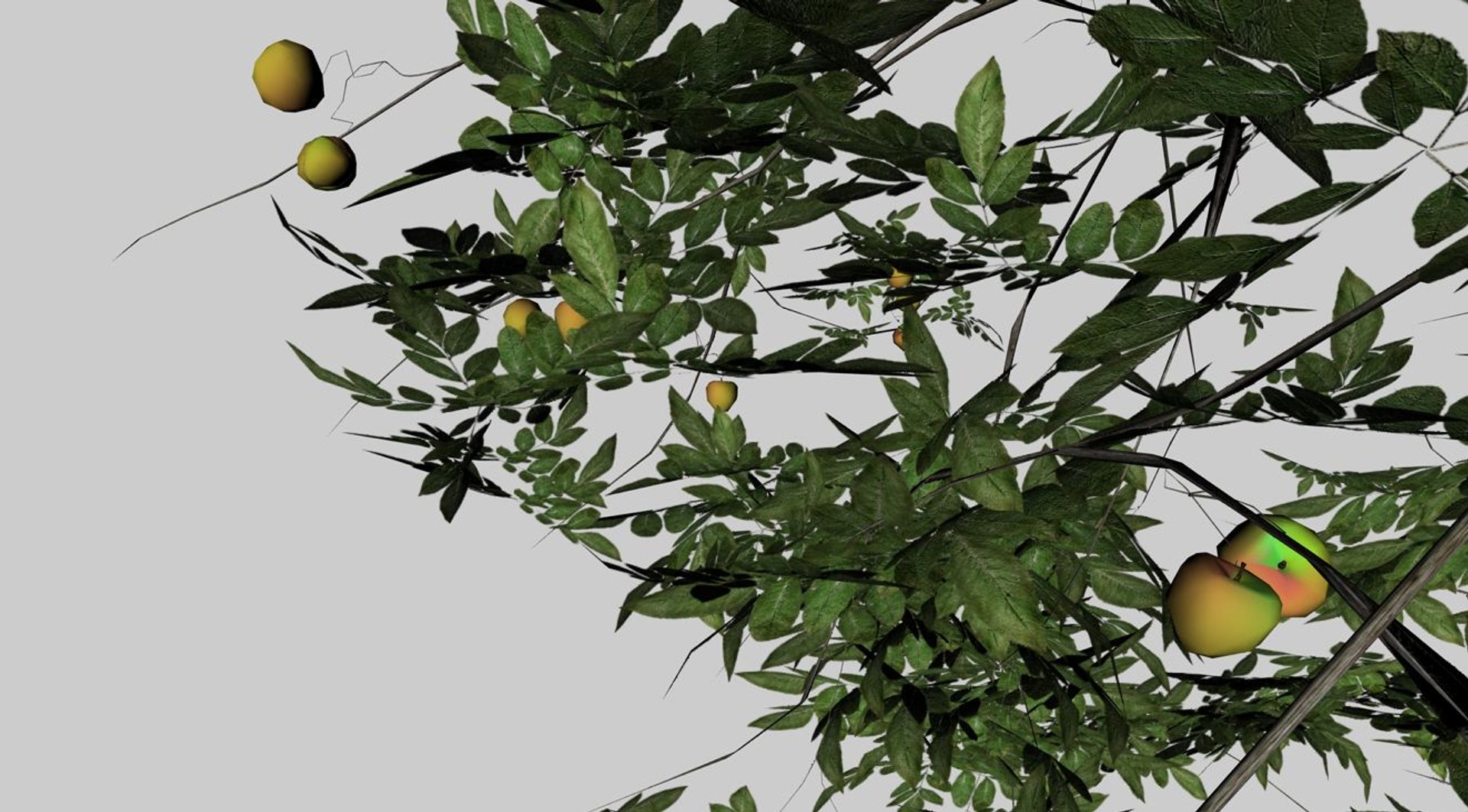 3d model apple tree https://p.turbosquid.com/ts-thumb/l2/x6iUta/y0KVFGtQ/17/jpg/1424612896/1920x1080/fit_q87/01614178c336c5f02b81172b25ad08b992dfc617/17.jpg
