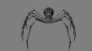 spider obj