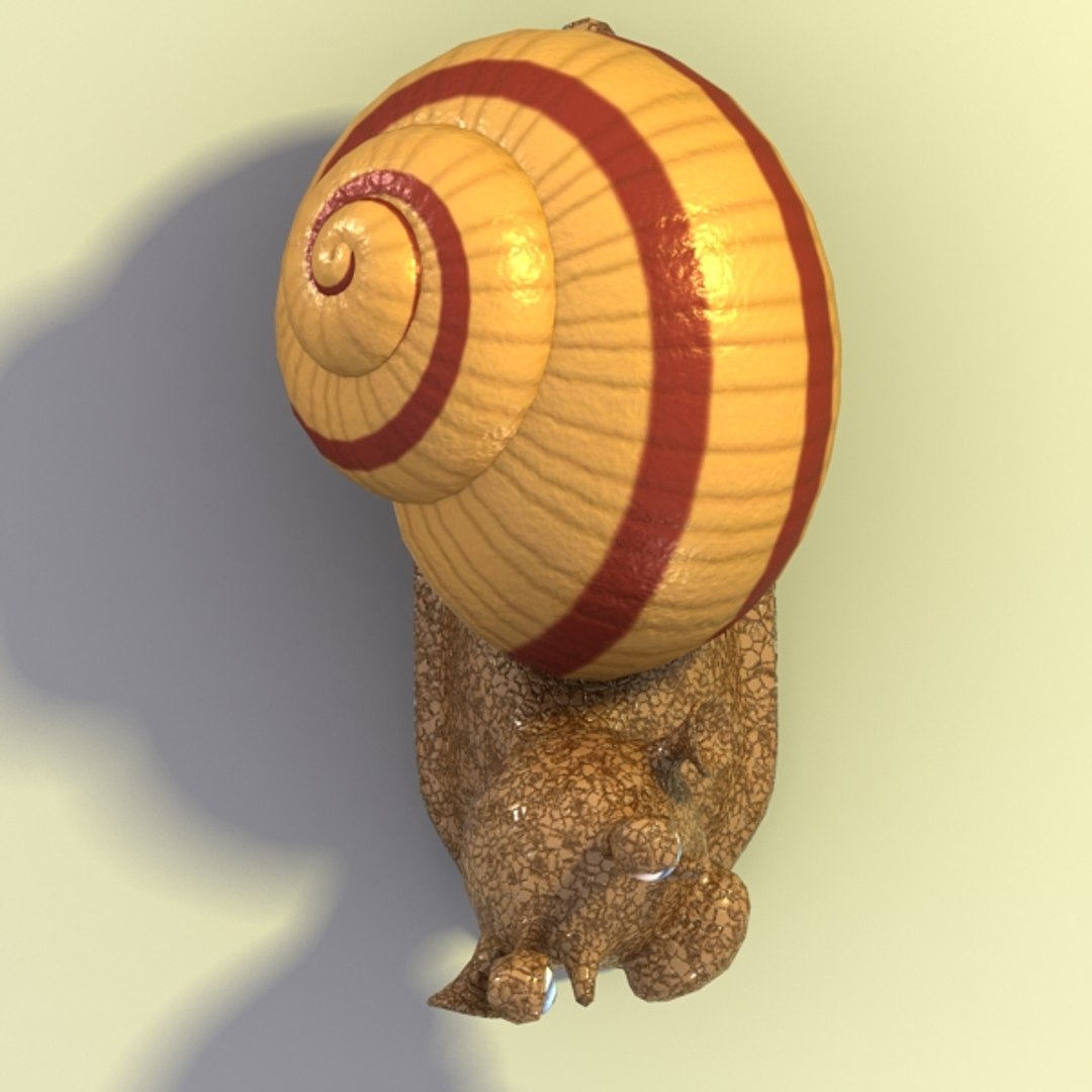 cartoon snail max https://p.turbosquid.com/ts-thumb/l3/D6USuR/eNHGn6A4/04/jpg/1330557964/1920x1080/fit_q87/a4ceadecce75c8c2ee07aabedc160e803dd3b749/04.jpg