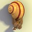 Schnecke