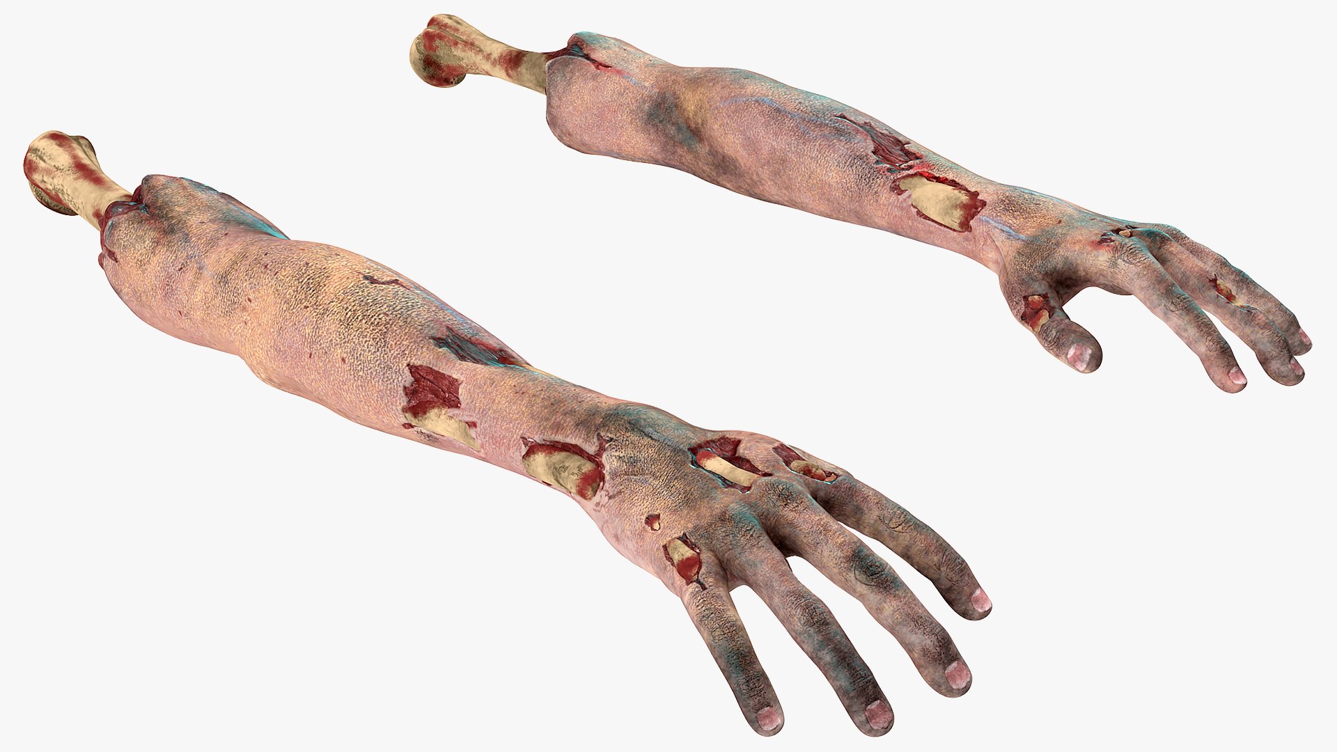 Zombie Hands Rigged Collection for Maya 3D model preview