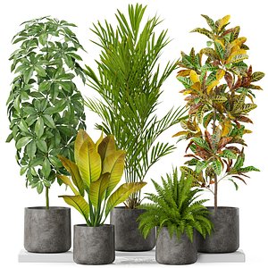 3D Plants collection 579 model