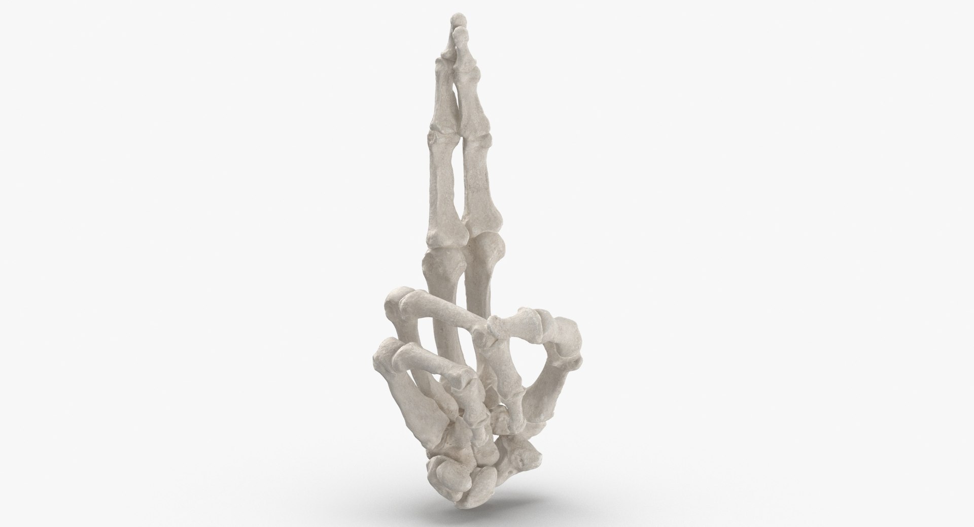 3D Human Hand Bones Signs White and Yellow Collection 03 - 4 models model https://p.turbosquid.com/ts-thumb/l3/PN2Mxy/38/human_hand_bones_white_good_luck_sign_thumbnail_0003/jpg/1709046956/1920x1080/fit_q87/9c59a443be7997d72b354b43d880c1ea2775a88d/human_hand_bones_white_good_luck_sign_thumbnail_0003.jpg