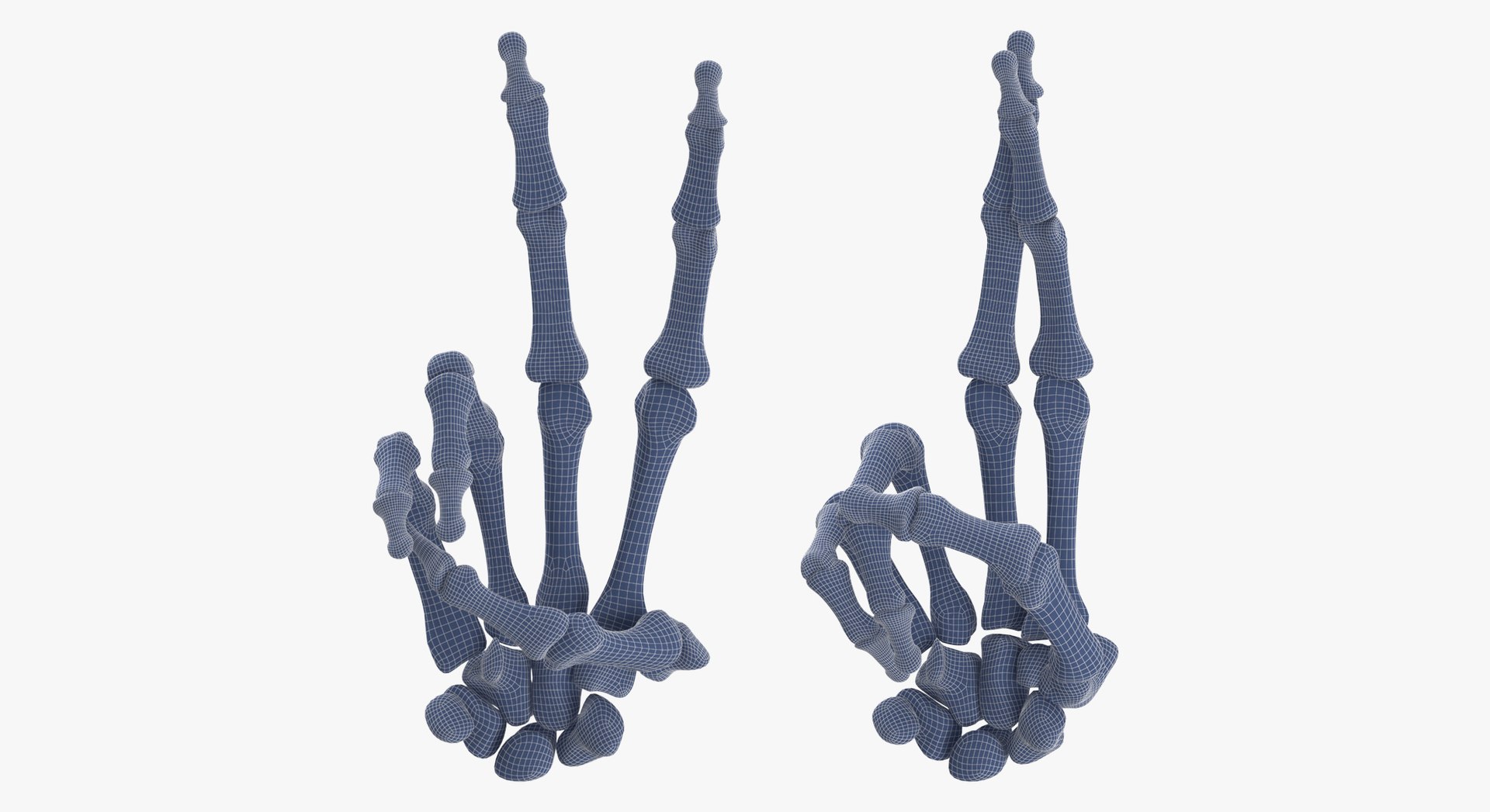 3D Human Hand Bones Signs White and Yellow Collection 03 - 4 models model https://p.turbosquid.com/ts-thumb/l3/PN2Mxy/55/c10/jpg/1709047273/1920x1080/fit_q87/d81567a1d376221b9c4f114d95c0a3b118be1a37/c10.jpg