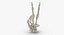 3D Human Hand Bones Signs White and Yellow Collection 03 - 4 models model