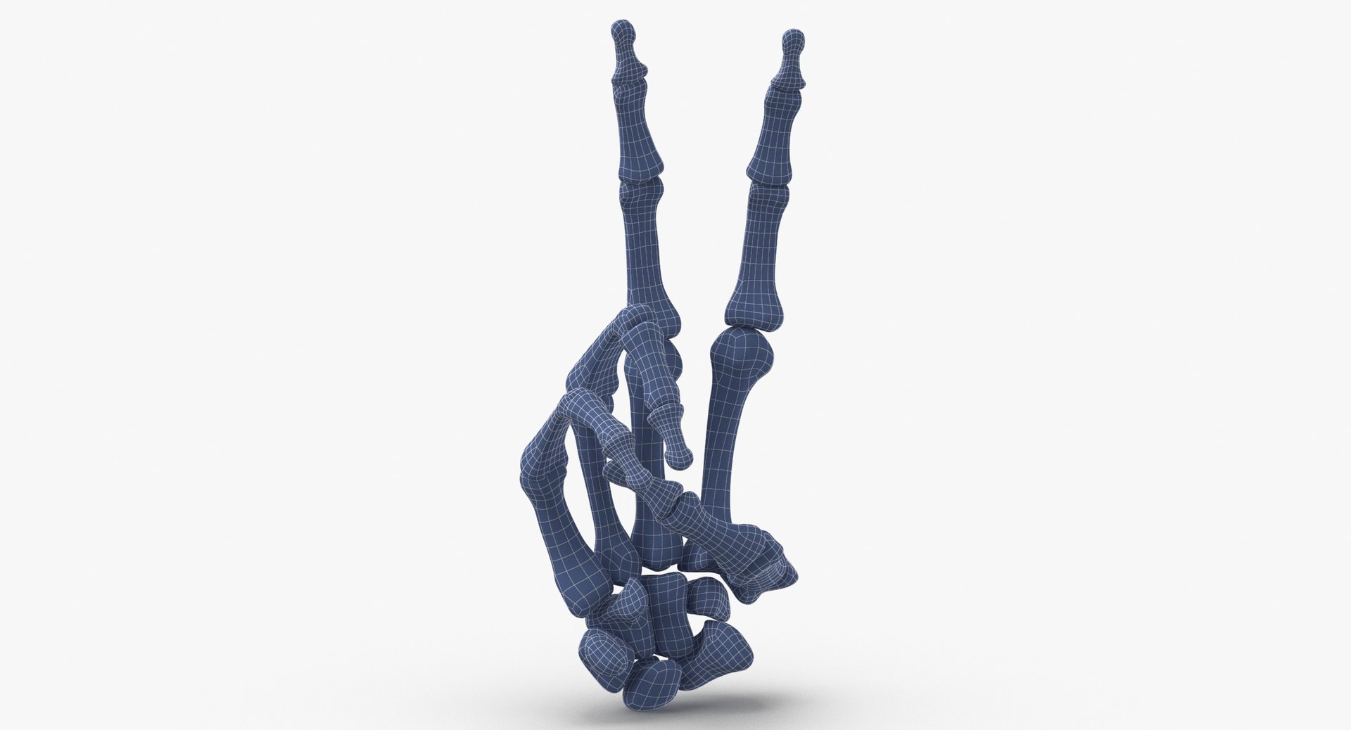 3D Human Hand Bones Signs White and Yellow Collection 03 - 4 models model https://p.turbosquid.com/ts-thumb/l3/PN2Mxy/OJ/human_hand_bones_peace_sign_wireframe_0004/jpg/1709047316/1920x1080/fit_q87/e249529481399d5ce0f7e9e29483fffb19a49f45/human_hand_bones_peace_sign_wireframe_0004.jpg