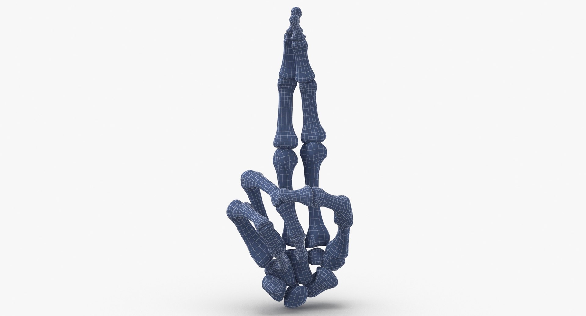 3D Human Hand Bones Signs White and Yellow Collection 03 - 4 models model https://p.turbosquid.com/ts-thumb/l3/PN2Mxy/Ts/human_hand_bones_good_luck_sign_wireframe_0004/jpg/1709047287/1920x1080/fit_q87/8231b6ed20589cb2930b4b72b203c9892083550a/human_hand_bones_good_luck_sign_wireframe_0004.jpg