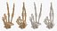 3D Human Hand Bones Signs White and Yellow Collection 03 - 4 models model