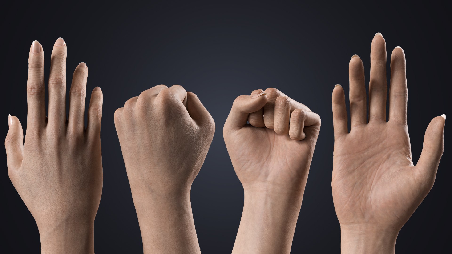 3D Realistic Female Hands with Full Arms - Rigged 3D Model https://p.turbosquid.com/ts-thumb/l3/UfkQ2b/Bg/palmfist/jpg/1771341966/1920x1080/fit_q87/2cd71597c22b73abe9462315cb24053fd6823e49/palmfist.jpg
