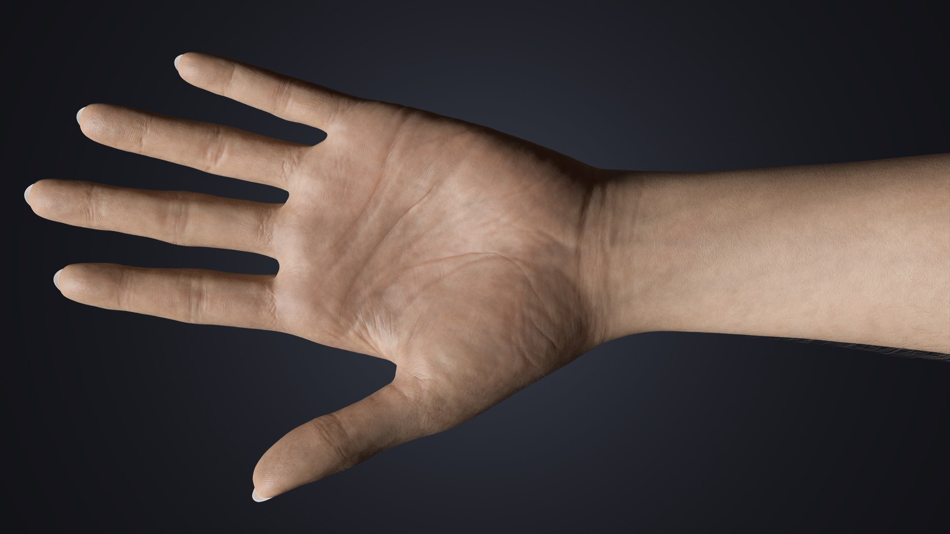 3D Realistic Female Hands with Full Arms - Rigged 3D Model https://p.turbosquid.com/ts-thumb/l3/UfkQ2b/Db/fullpalm/jpg/1771341964/1920x1080/fit_q87/fbe699198c1aee951e38dcc19d8b0d61702e96d1/fullpalm.jpg