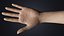 V-ARM 02 Realistic Female Hands