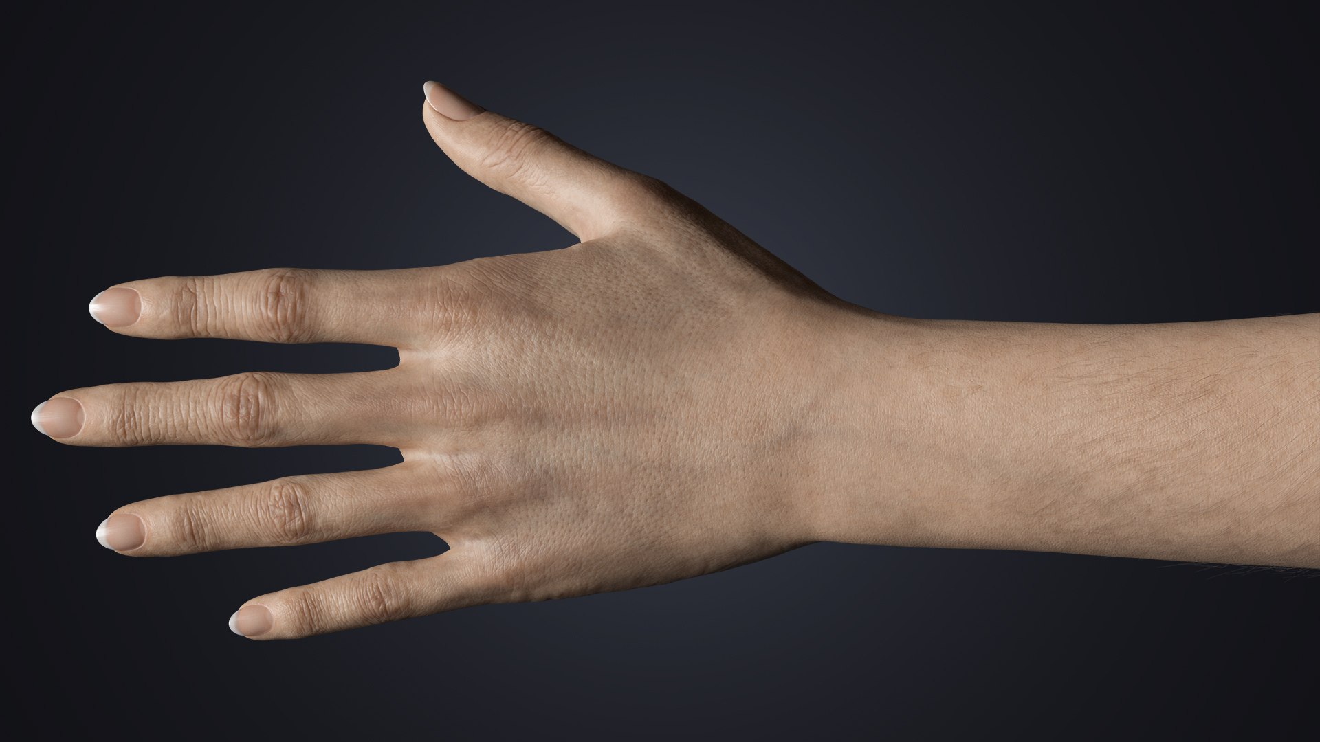3D Realistic Female Hands with Full Arms - Rigged 3D Model https://p.turbosquid.com/ts-thumb/l3/UfkQ2b/PK/fulldorsal/jpg/1771341964/1920x1080/fit_q87/326f5cf01c0e519d2c534e403f2abd629d17810b/fulldorsal.jpg