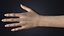 V-ARM 02 Realistic Female Hands