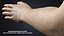 V-ARM 02 Realistic Female Hands