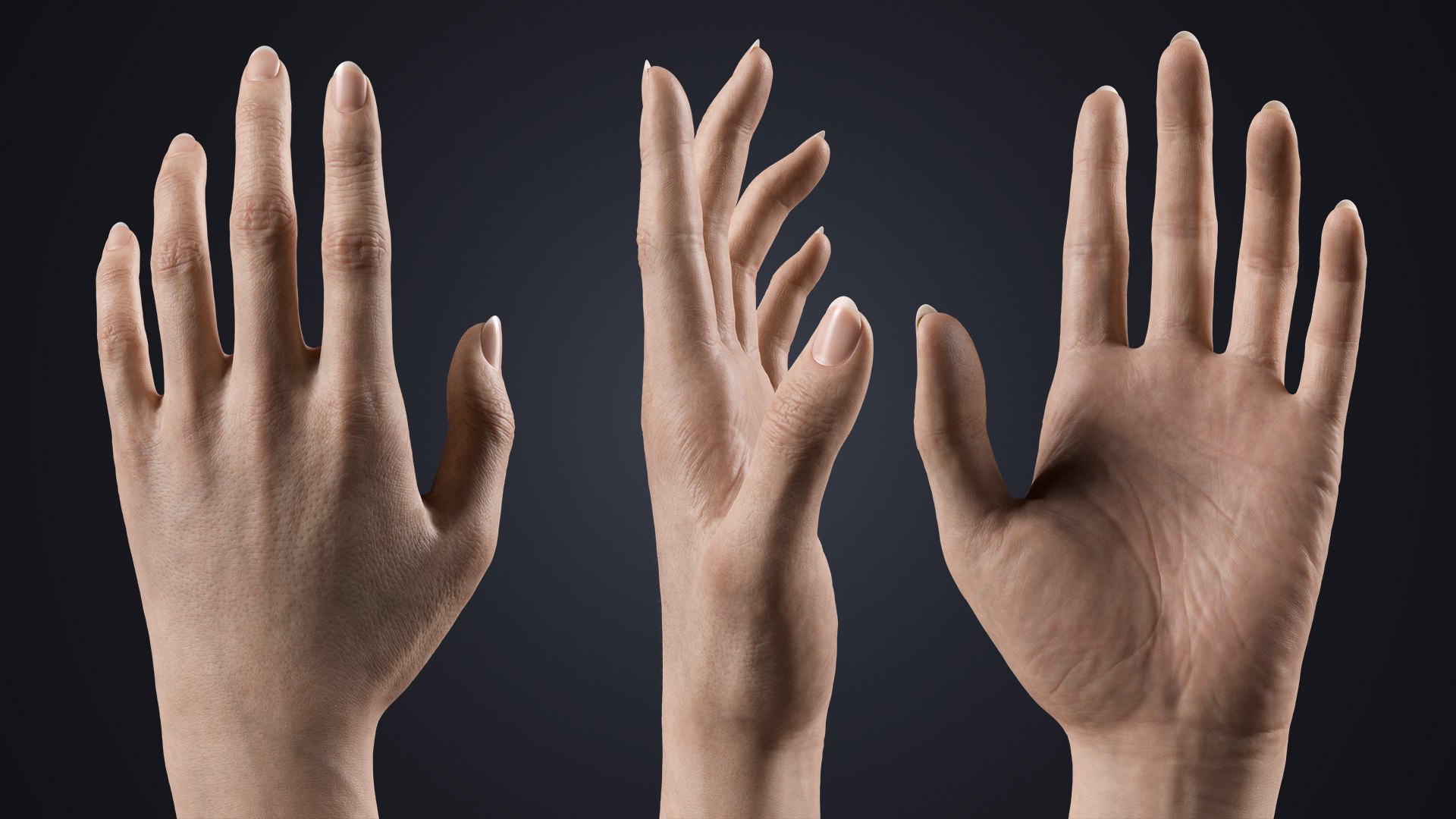 3D Realistic Female Hands with Full Arms - Rigged 3D Model https://p.turbosquid.com/ts-thumb/l3/UfkQ2b/dk/hand360/jpg/1771341965/1920x1080/fit_q87/6dad87f5f0b5a3f56be2c65d662a19b13c7b4b5c/hand360.jpg