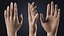 V-ARM 02 Realistic Female Hands