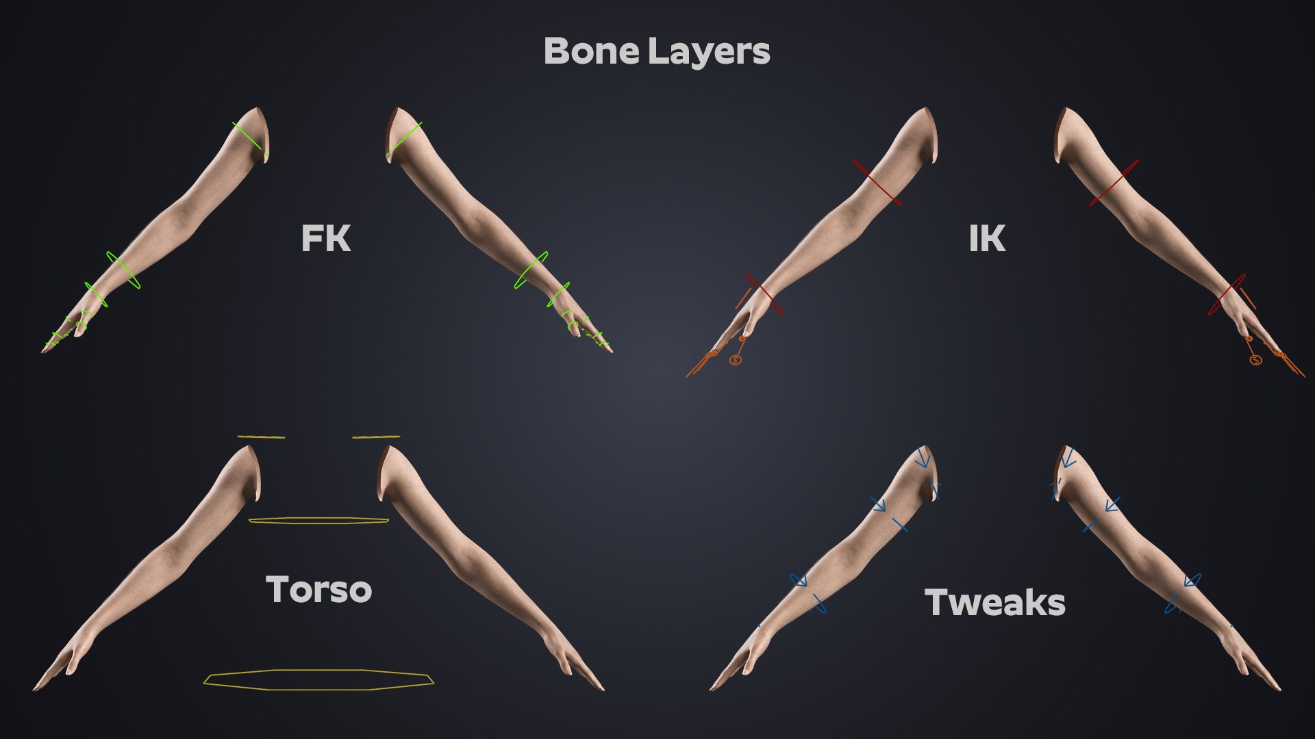 3D Realistic Female Hands with Full Arms - Rigged 3D Model https://p.turbosquid.com/ts-thumb/l3/UfkQ2b/h9/bonelayers/jpg/1771341963/1920x1080/fit_q87/fa840006285a7510633f7745e8a51f144d789821/bonelayers.jpg
