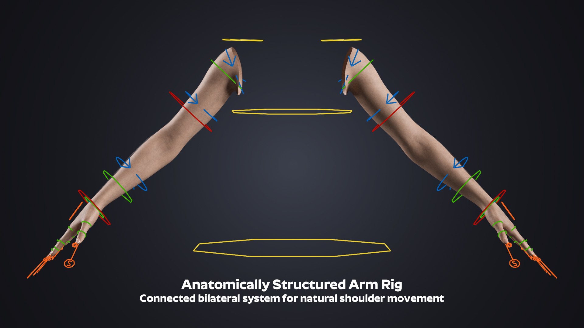 3D Realistic Female Hands with Full Arms - Rigged 3D Model https://p.turbosquid.com/ts-thumb/l3/UfkQ2b/no/anatomy/jpg/1771341963/1920x1080/fit_q87/06089b3b56a0269eda35db1e98c152b10169a6ce/anatomy.jpg