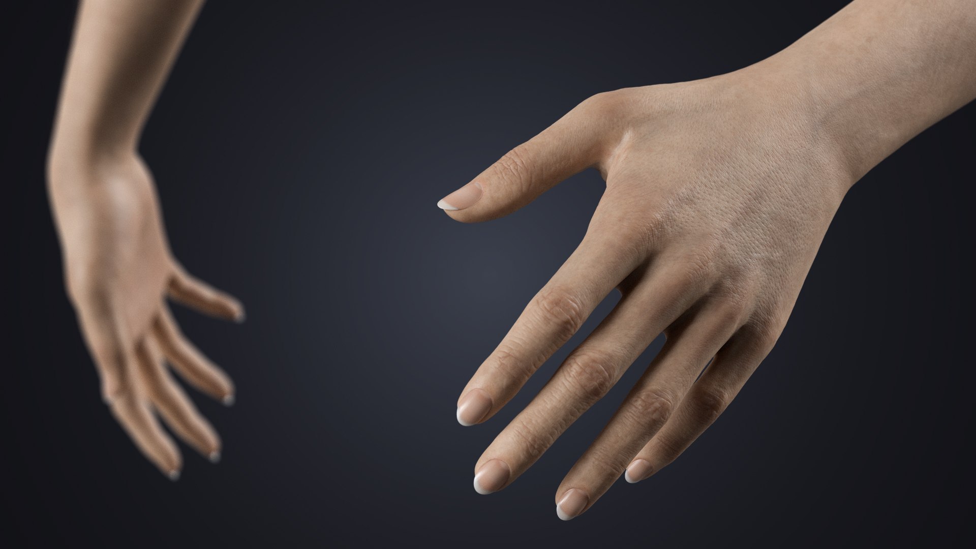 3D Realistic Female Hands with Full Arms - Rigged 3D Model https://p.turbosquid.com/ts-thumb/l3/UfkQ2b/pe/blur/jpg/1771341963/1920x1080/fit_q87/58ecc8f6f7a0efc962b52569f3eec10c1c92f2bf/blur.jpg