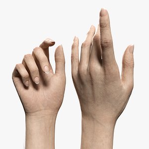 V-ARM 02 Realistic Female Hands