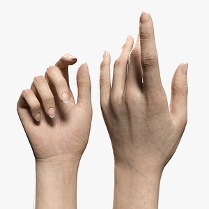 V-ARM 02 Realistic Female Hands