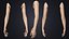 V-ARM 02 Realistic Female Hands