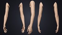 V-ARM 02 Realistic Female Hands