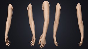 V-ARM 02 Realistic Female Hands