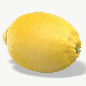 Lemon PBR Metallness 3D Scaned