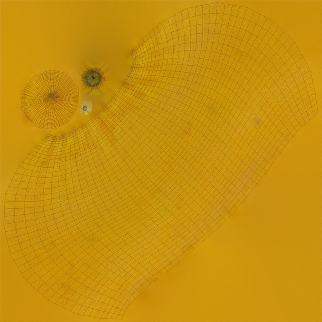 3D Lemon PBR Metallness 3D Scaned https://p.turbosquid.com/ts-thumb/l3/fnCWzX/pc/uv/jpg/1744053266/1920x1080/fit_q87/a306d0344576a77ec27ed0328958606d09e4fec7/uv.jpg