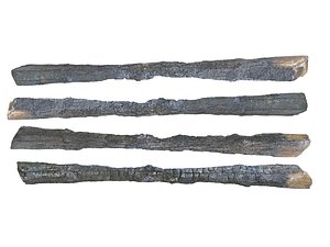 3D burned tree branch 8k