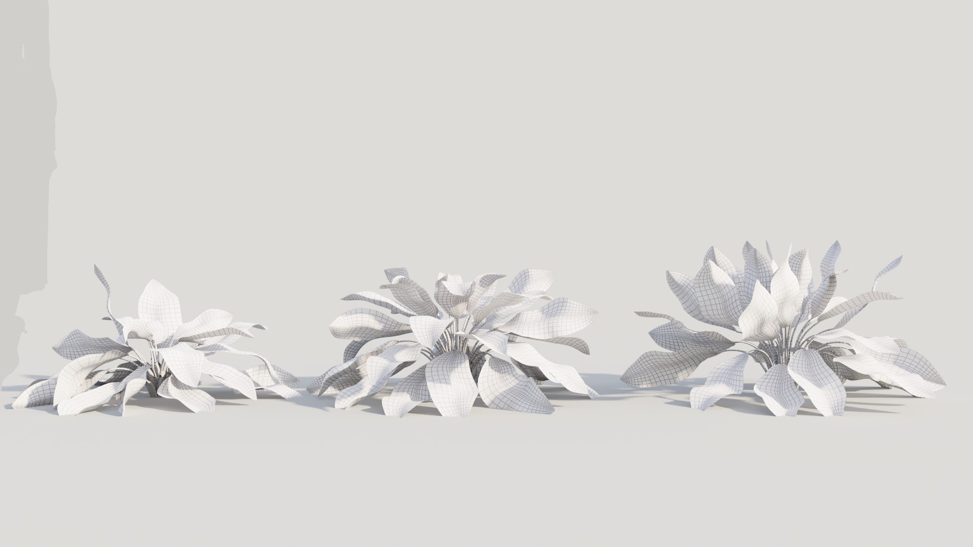 Calathea zebrina c 3D model https://p.turbosquid.com/ts-thumb/l3/pGZmdF/Ha/calatheazebrinac2/jpg/1705561764/1920x1080/fit_q87/ddd6e02b97515fa398c1333350868e2c3868de4f/calatheazebrinac2.jpg