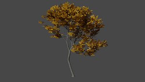 1 tree leaf model