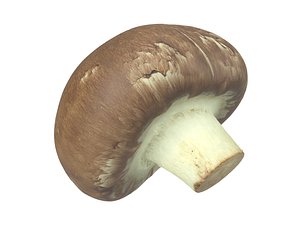 photorealistic scanned mushroom 3D model