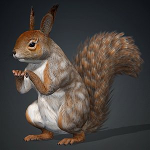 Squirrel-A3