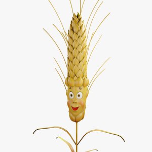 Wheat Spikelet Character