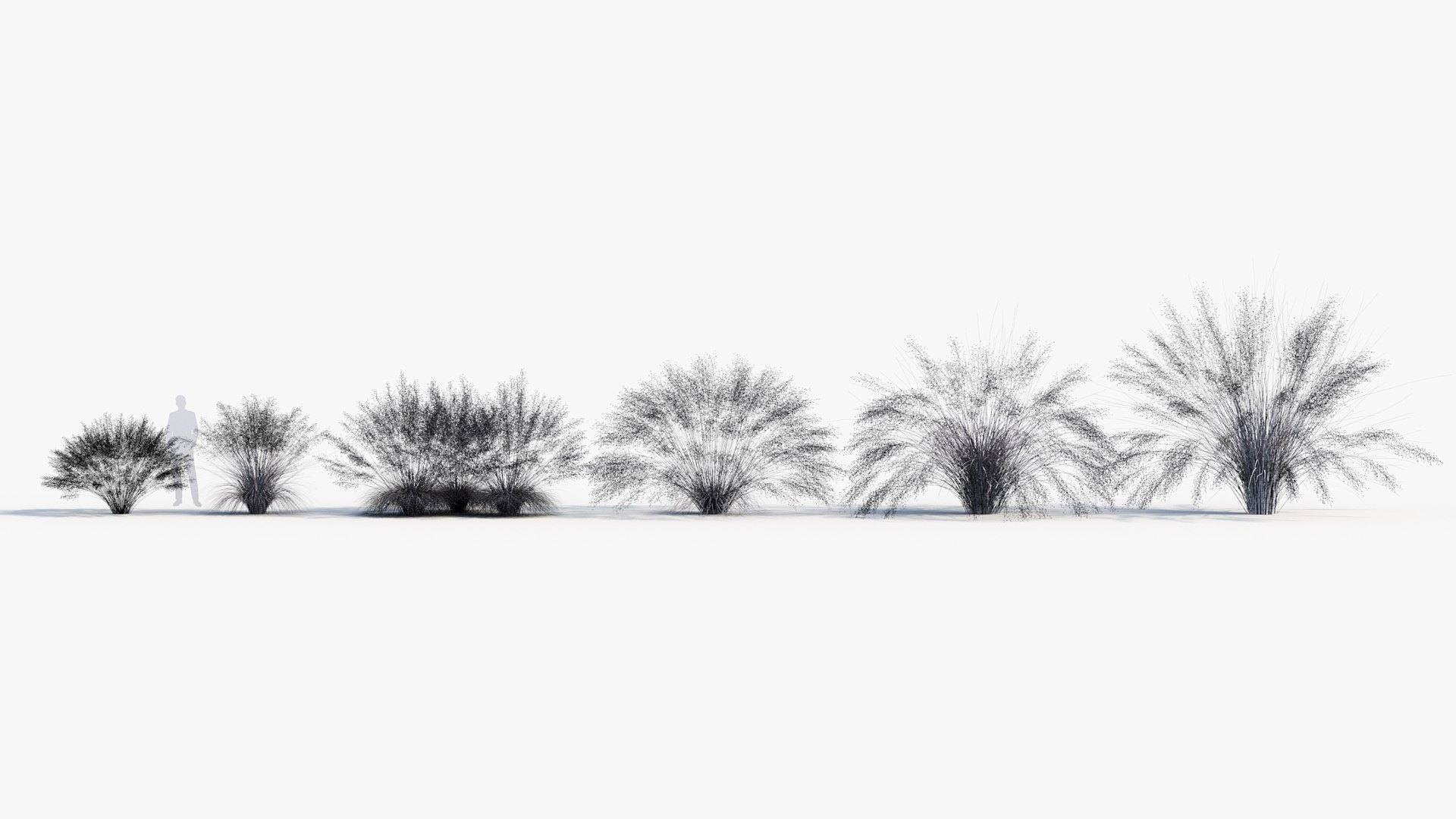 Muhly grass Muhlenbergia capillaris 3D model https://p.turbosquid.com/ts-thumb/l4/WRsKYO/d9/bc_pm_p013_muhly_grass_wire/jpg/1686212906/1920x1080/fit_q87/63c93cc2c8b49e7c4d6705efbc22f7bdd359541e/bc_pm_p013_muhly_grass_wire.jpg
