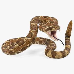 Light Rattlesnake Attack Pose