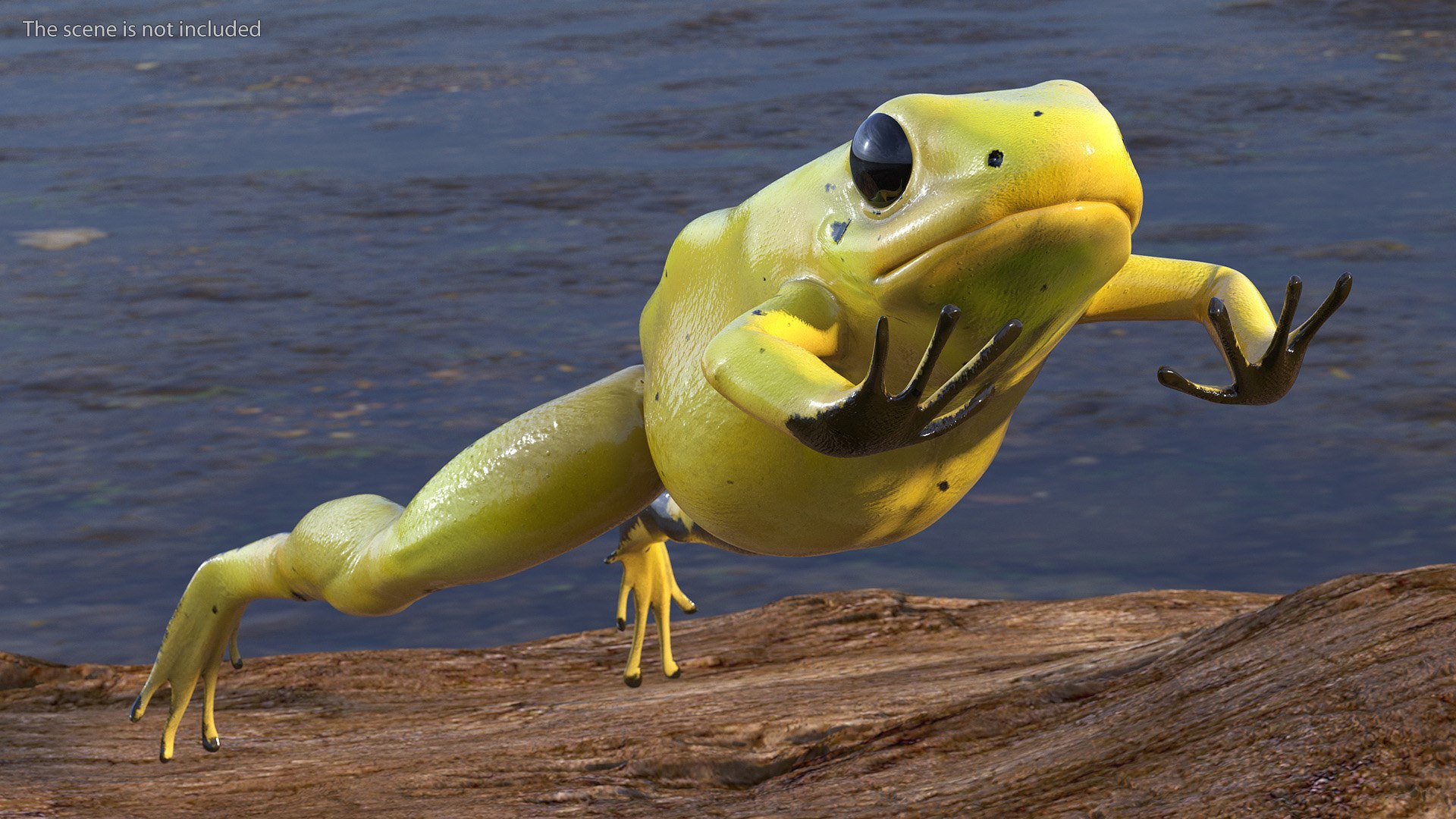 3D Phyllobates Terribilis Yellow Jumping Pose Model - TurboSquid 2187126