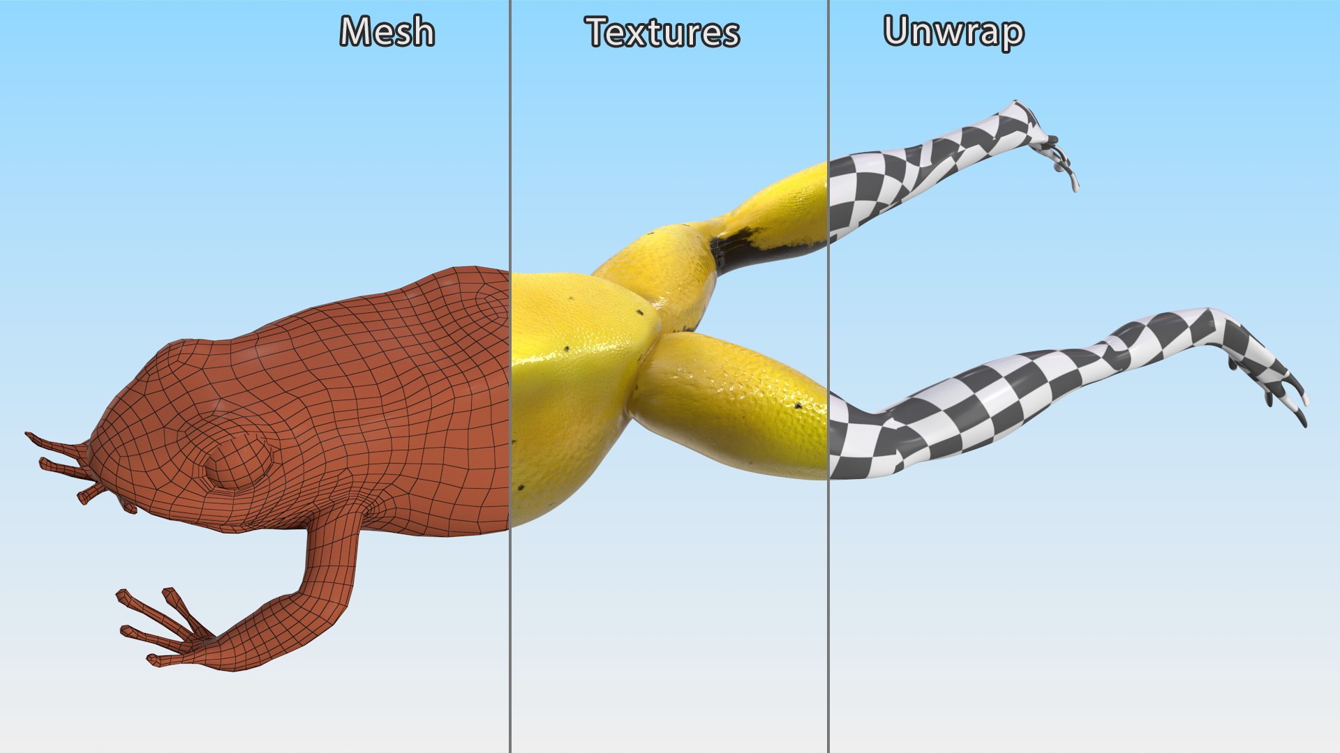 3D Phyllobates Terribilis Yellow Jumping Pose Model - TurboSquid 2187126