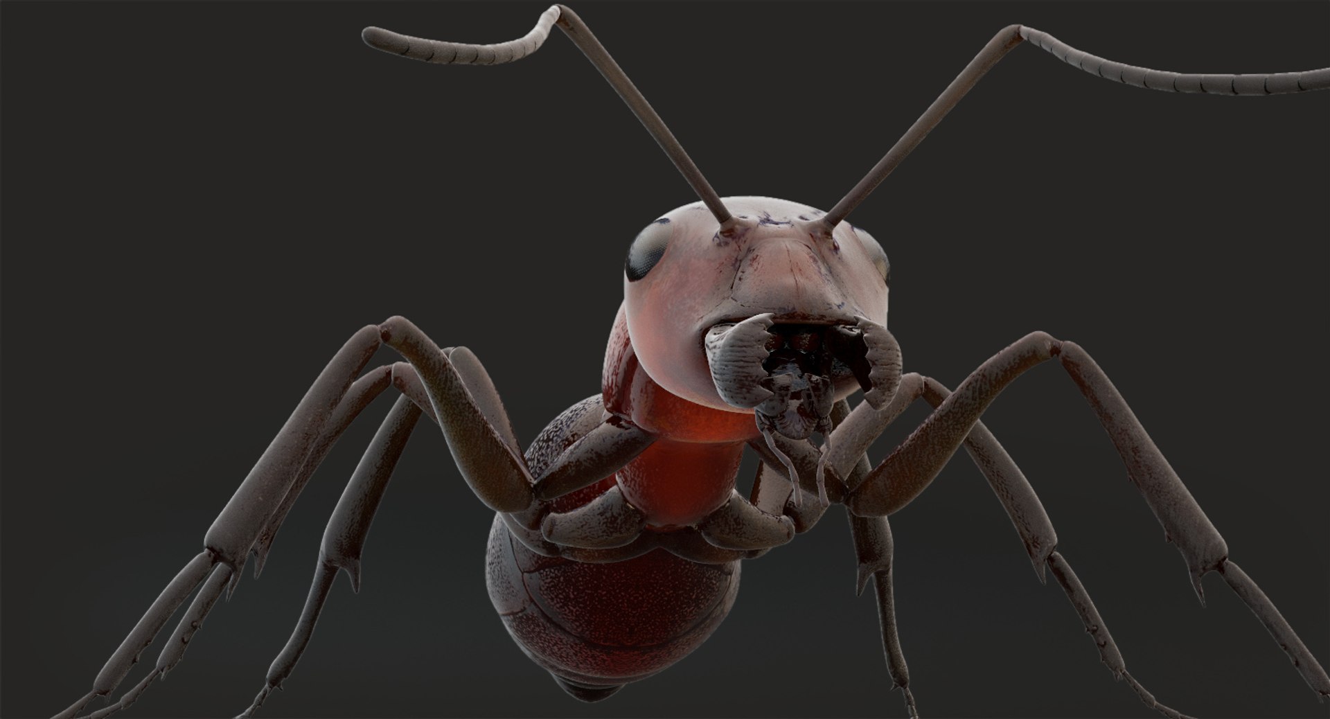 rigged ant 3D model https://p.turbosquid.com/ts-thumb/l5/6MrXt5/1kLjRHuc/b_1/jpg/1541000976/1920x1080/fit_q87/e93228fde8b461e328d129d9560c2bbad1705427/b_1.jpg